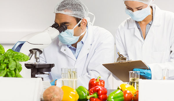 Inocuidad Alimentaria